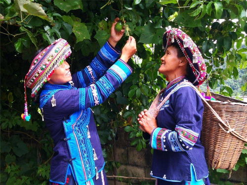 文艺家创作进村寨 乡村振兴与生态文明的艺术探索