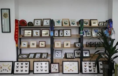 担得起“新文艺群体”的分量 王世宏谈文艺创作与开发